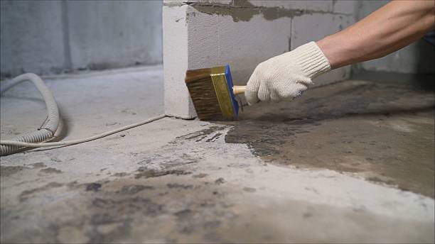 SJ Waterproofing Pros Basement Waterproofing coverage map for Homer, IL and surrounding area
